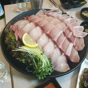 싱싱오징어바다 사진