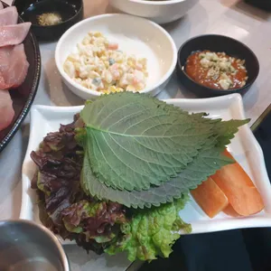 싱싱오징어바다 사진