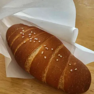 오아시스 사진
