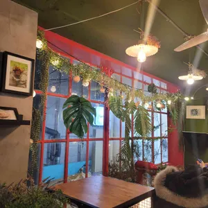 데코아 발림 리뷰 사진