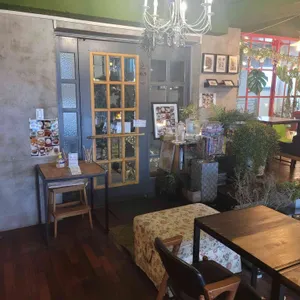 데코아 발림 리뷰 사진