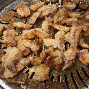 주례껍데기 사진