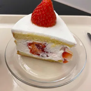 하업트 사진