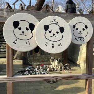 리베볼 리뷰 사진