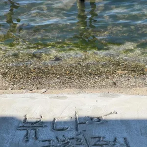 그날의중식, 볶다 리뷰 사진