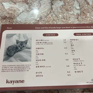 카야네 리뷰 사진