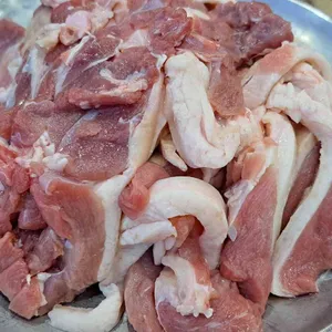장항오리 사진