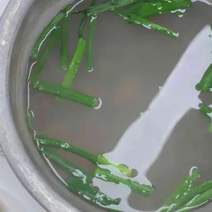 매일스시횟집 리뷰 사진