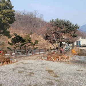 멍때림 리뷰 사진
