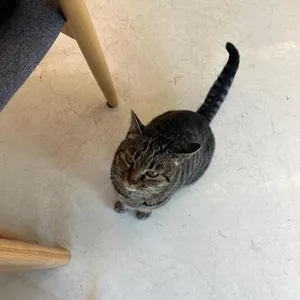 오헬로 리뷰 사진