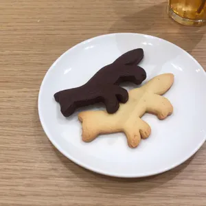 카페 키츠네 사진
