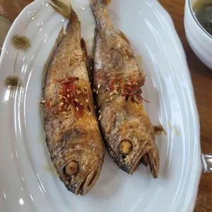 낙지섬 리뷰 사진