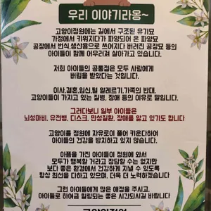 고양이정원 리뷰 사진