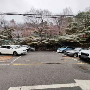 고양이정원 리뷰 사진