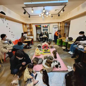 고양이정원 리뷰 사진
