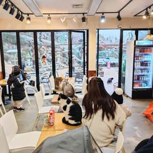 고양이정원 리뷰 사진