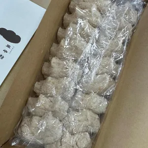 도수향 사진