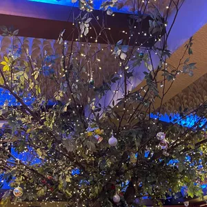 버드나무포차 리뷰 사진