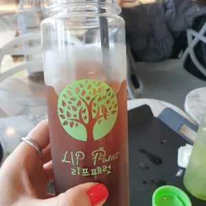 앵무새카페 리프패럿 사진