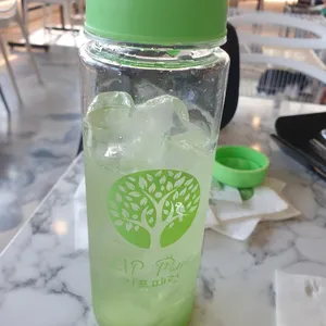 앵무새카페 리프패럿 사진