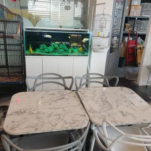 앵무새카페 리프패럿 리뷰 사진