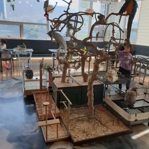 앵무새카페 리프패럿 리뷰 사진