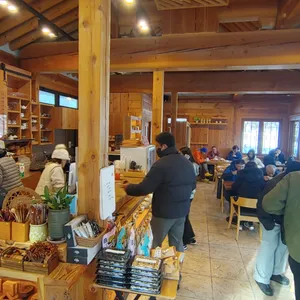 설향 리뷰 사진