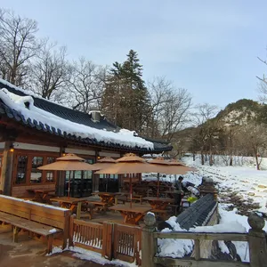 설향 리뷰 사진