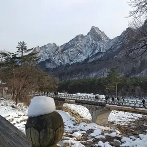 설향 리뷰 사진