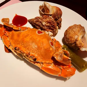 빕스 프리미어 리뷰 사진