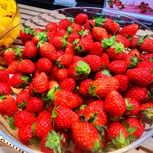 빕스 프리미어 리뷰 사진