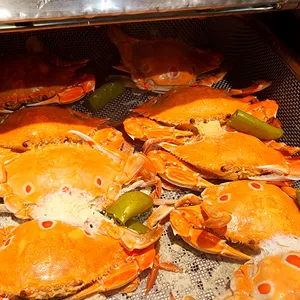 빕스 프리미어 리뷰 사진