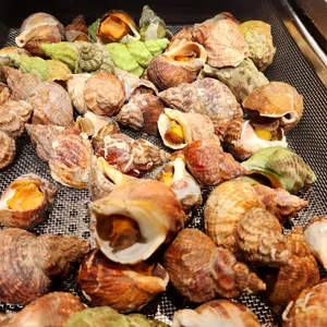 빕스 프리미어 리뷰 사진