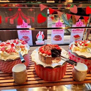 빕스 프리미어 리뷰 사진