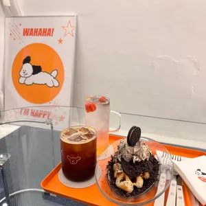 WHH 와하하 사진