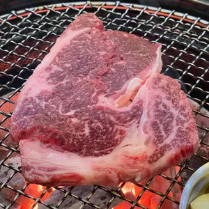 한우누렁소 사진