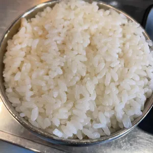 백돈 사진