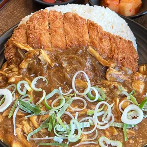 아비꼬 사진