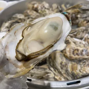최지성의 해물칼국수 사진