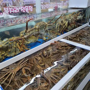 일출횟집 리뷰 사진