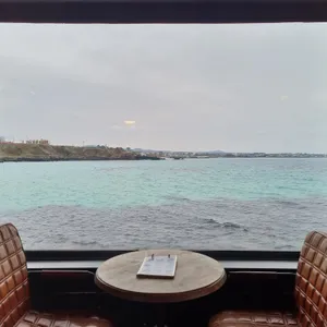 봄날 카페 리뷰 사진