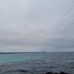 봄날 카페 리뷰 사진