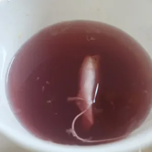 메가커피 사진