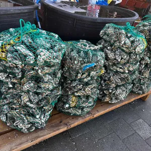은지굴수산 리뷰 사진