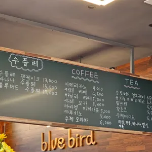 블루버드 리뷰 사진