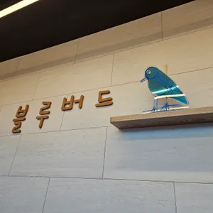 블루버드 리뷰 사진