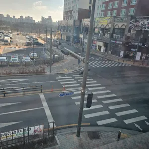 블루버드 리뷰 사진