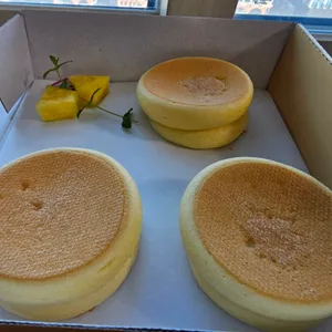 블루버드 사진