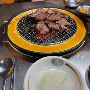 신마포갈매기  사진