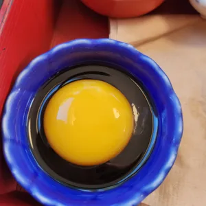 온천집 사진